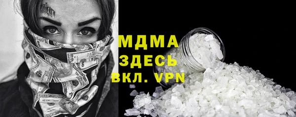 сатива Новозыбков