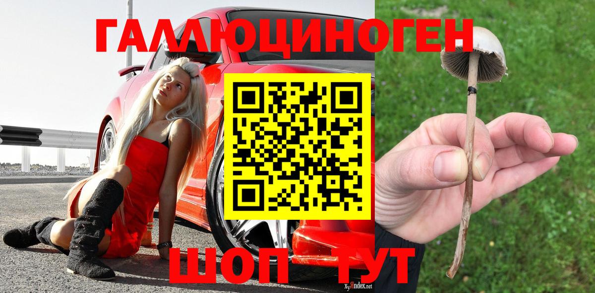 Псилоцибиновые грибы мухоморы Ярославль