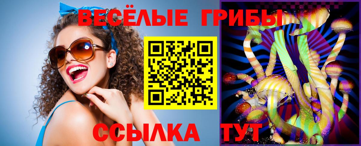 Ярославль  Псилоцибиновые грибы GOLDEN TEACHER  Вход с VPN 